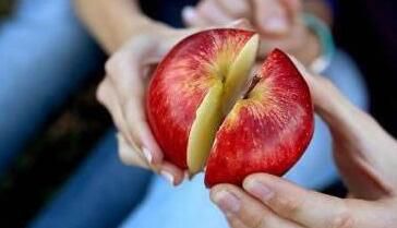 共享平臺(tái)模式如何打造差異化優(yōu)勢(shì)