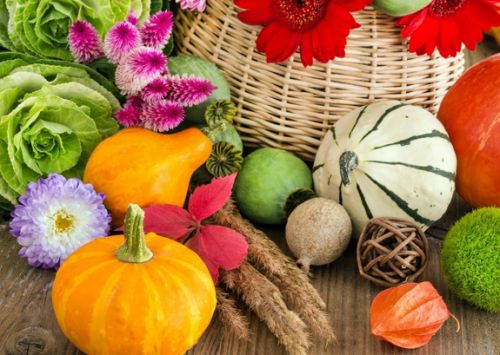 生鮮蔬果app開發(fā)價(jià)格是多少？圖片