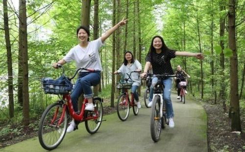 開發(fā)一個共享單車app的時間周期圖片