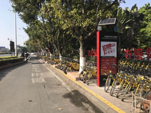 動真格了!共享單車不能再“任信”了圖片